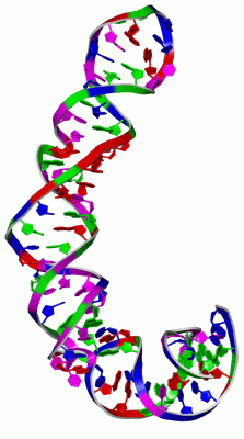 Image NMR Structure - manually