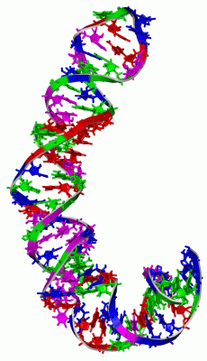 Image NMR Structure - manually