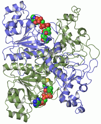 Image Asym./Biol. Unit - manually