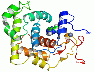 Image NMR Structure - manually