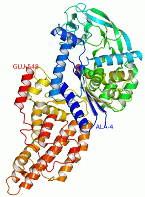 Image Asym./Biol. Unit - manually