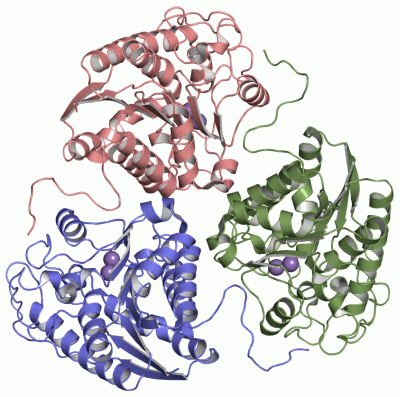 Image Asym./Biol. Unit - manually