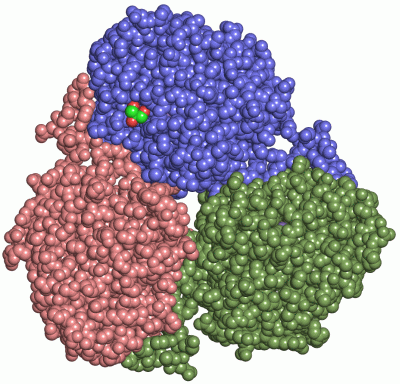 Image Asym./Biol. Unit - manually