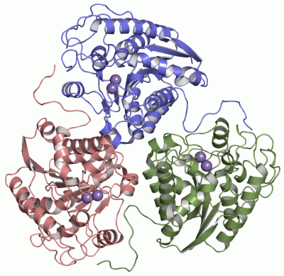 Image Asym./Biol. Unit - manually