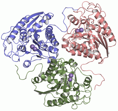 Image Asym./Biol. Unit - manually