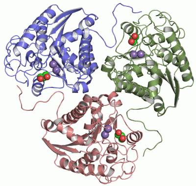 Image Asym./Biol. Unit - manually