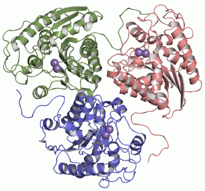 Image Asym./Biol. Unit - manually