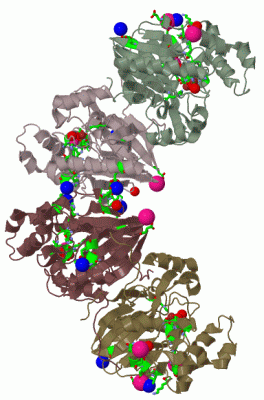Image Biol.Unit 2 - manually