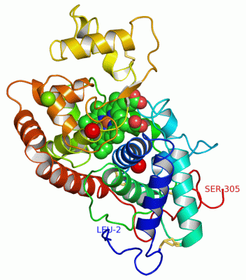 Image Asym./Biol. Unit - manually