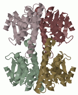 Image Biol.Unit 2 - manually