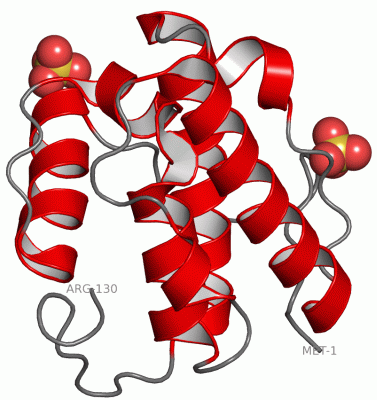 Image Asym./Biol. Unit - manually