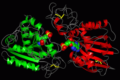 Image Asym.Unit - manually