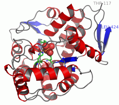 Image Asym./Biol. Unit - manually