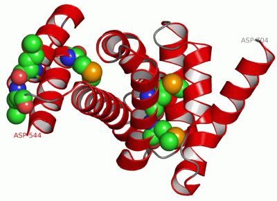 Image Asym./Biol. Unit - manually