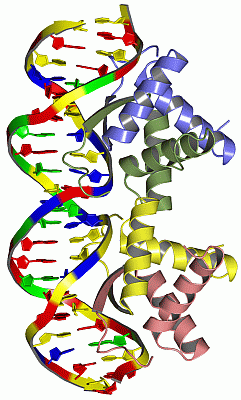 Image Asym./Biol. Unit - manually