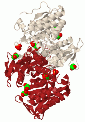 Image Biol.Unit 1 - manually