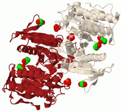 Image Biol.Unit 1 - manually