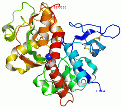 Image Asym./Biol. Unit - manually