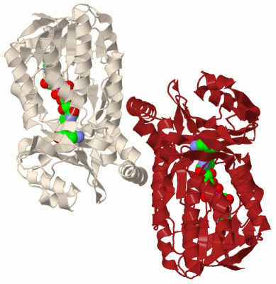 Image Biol.Unit 1 - manually