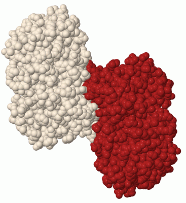 Image Biol.Unit 1 - manually