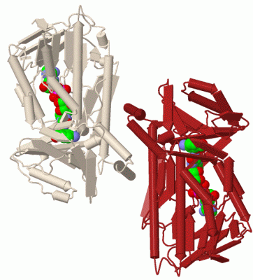 Image Biol.Unit 1 - manually