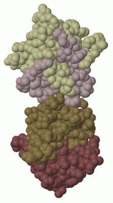 Image Biol.Unit 1 - manually