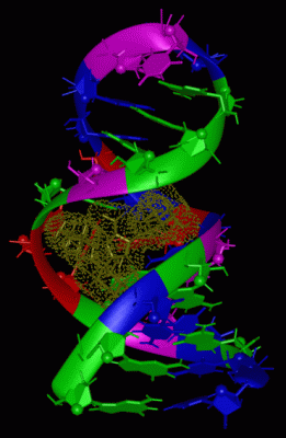 Image NMR Structure - manually