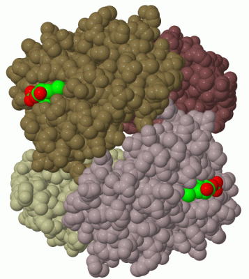 Image Biol.Unit 1 - manually