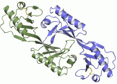 Image Asym./Biol. Unit - manually