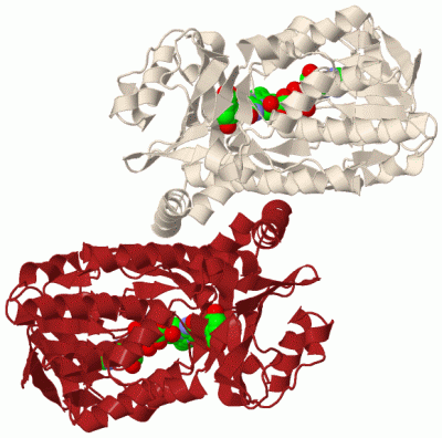 Image Biol.Unit 1 - manually