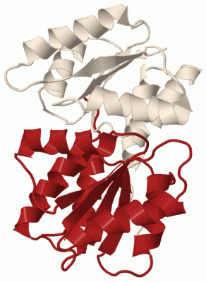 Image Biol.Unit 1 - manually