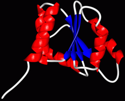 Image Asym.Unit - manually