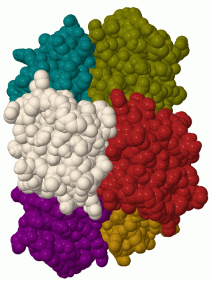 Image Biol.Unit 1 - manually