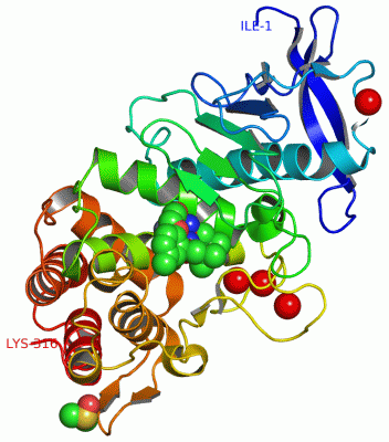 Image Asym./Biol. Unit - manually