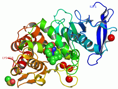 Image Asym./Biol. Unit - manually