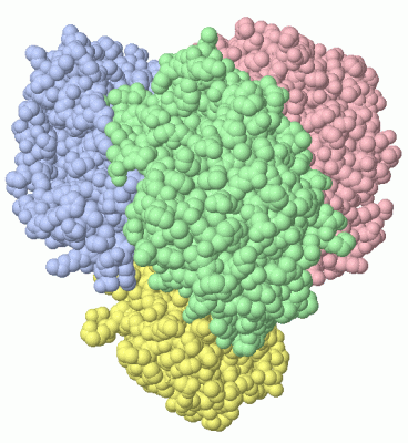 Image Asym./Biol. Unit - manually