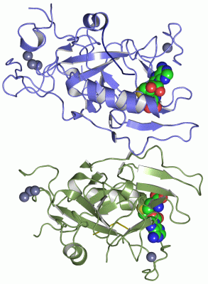 Image Asym.Unit - manually