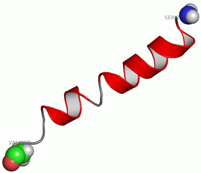 Image NMR Structure - manually