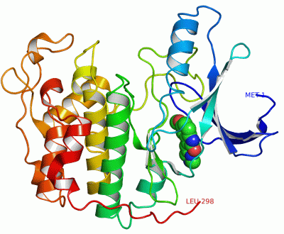 Image Asym./Biol. Unit - manually