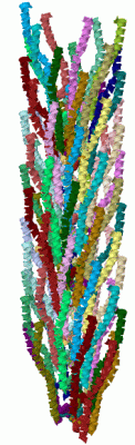 Image Biol.Unit 1 - manually