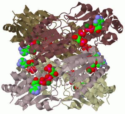 Image Biol.Unit 1 - manually