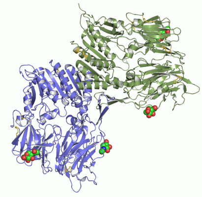 Image Asym./Biol. Unit - manually