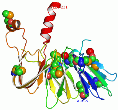 Image Asym.Unit - manually