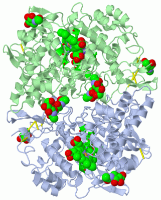 Image Asym./Biol. Unit - manually