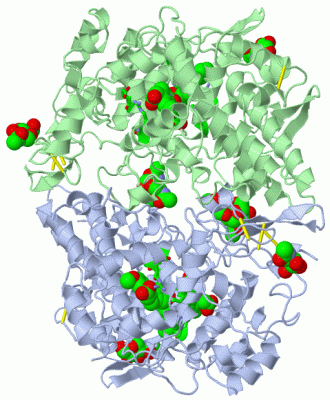 Image Asym./Biol. Unit - manually