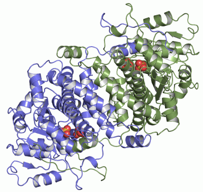 Image Asym./Biol. Unit - manually