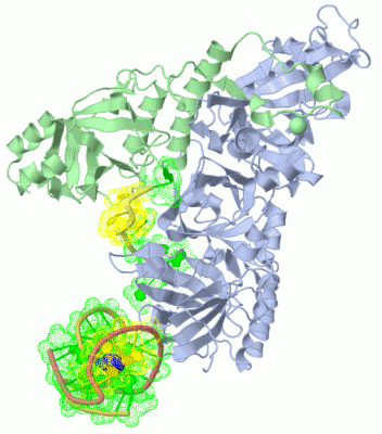 Image Asym./Biol. Unit - manually