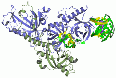 Image Asym./Biol. Unit - manually