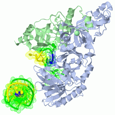 Image Asym./Biol. Unit - manually