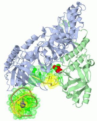 Image Asym./Biol. Unit - manually